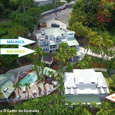 Studio Malacca, Malanga Et Majacudja - O Coeur De Deshaies Kültér fotó
