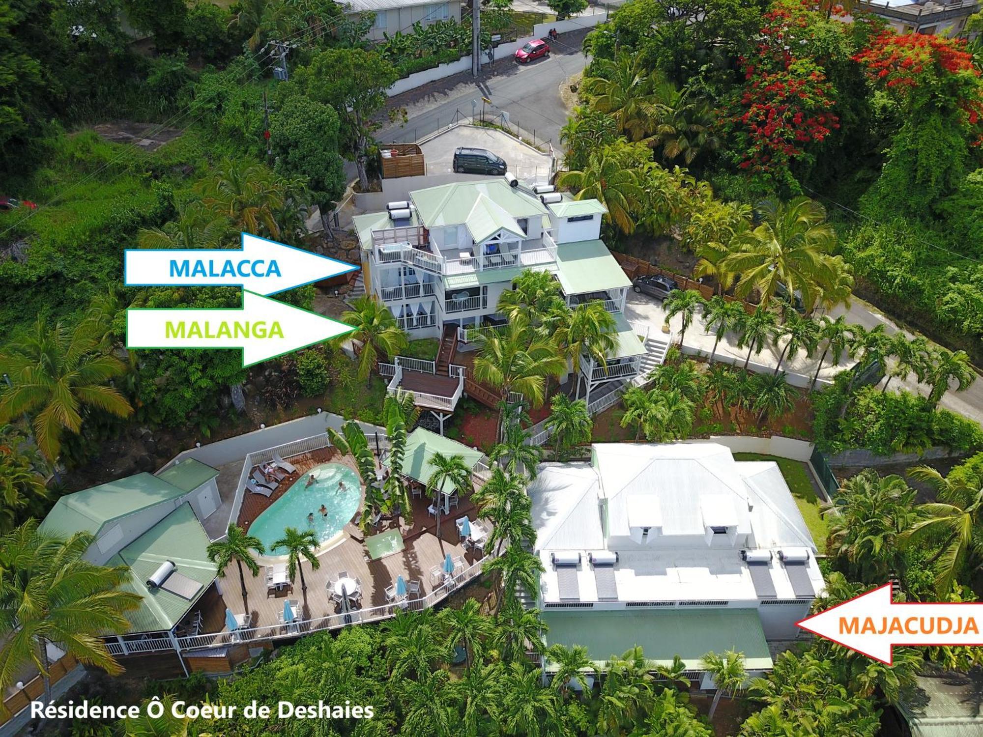 Studio Malacca, Malanga Et Majacudja - O Coeur De Deshaies Kültér fotó